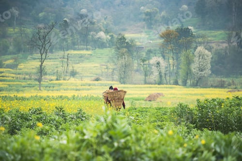 Preview: Nepalese Farmers.