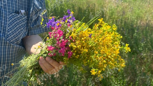 Preview: A man with a bouquet of flowers in his hand.