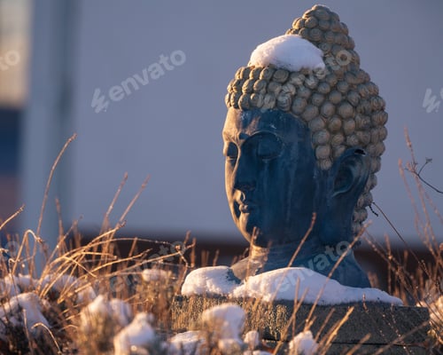 Preview: Fine image of a Buddha head stone statue in outdoors on a winter day
