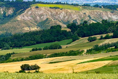 Preview: Country landscape near Meldola and Predappio, Emilia-Romagna