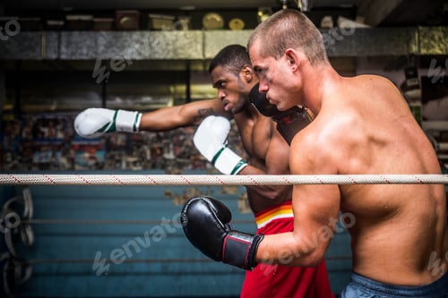 Preview: Boxing match