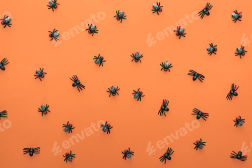 Preview: top view of scary spiders on orange background