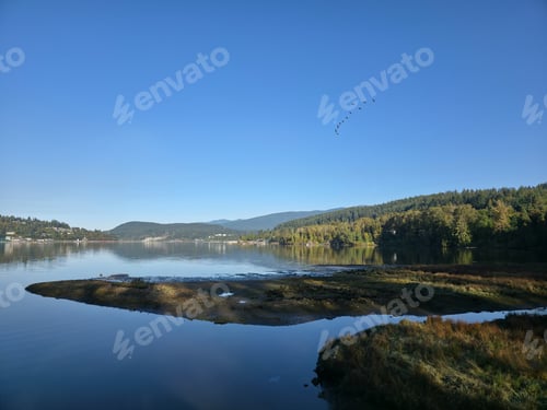Preview: Tranquil Lake Scene With Forested Shoreline And Flying Geese Over Calm Water