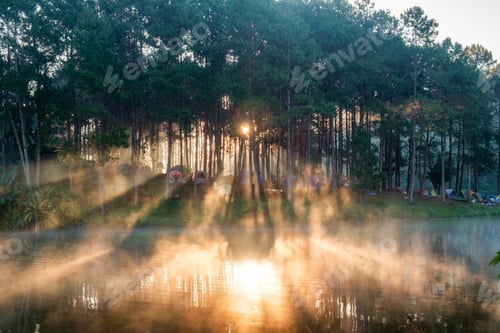 Preview: Scenic pine forest light shine on reservoir at pang oung