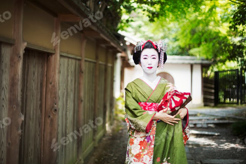 Preview: A geisha in traditional costume