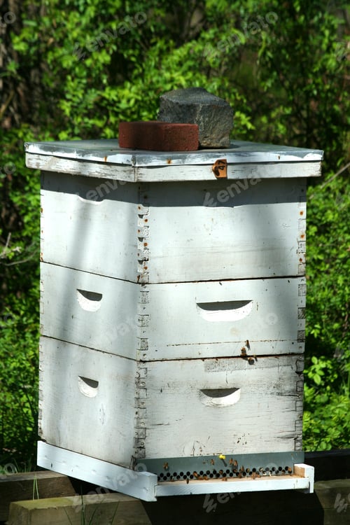Preview: Beehive