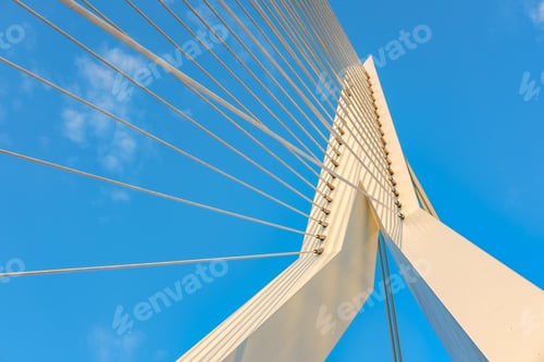 Preview: Erasmus bridge in Rotterdam city. South Holland, Netherlands.