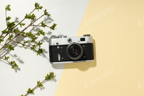 Vista previa: Vintage camera and tree branch on light background, top view