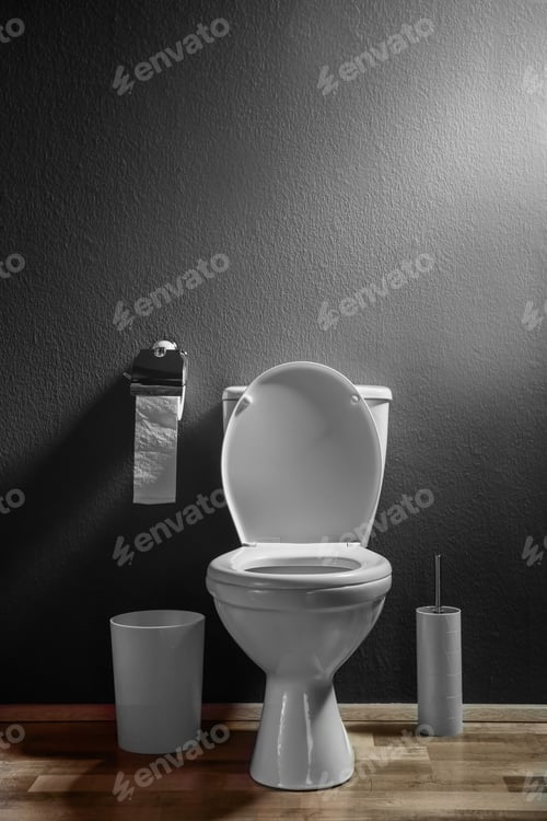 Preview: New ceramic toilet bowl in modern bathroom