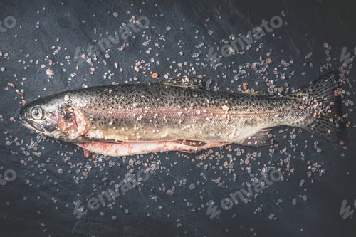 Preview: Raw trout with salt on the dark stone background top view