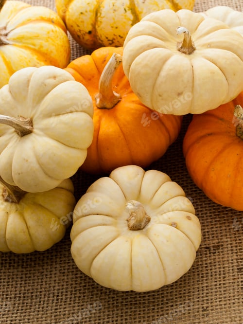 Preview: Mini Pumpkins