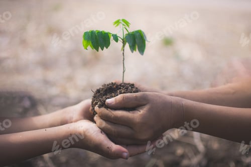 Preview: hand of children holding plant and soil with bokeh