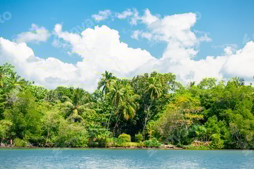 Preview: Lovely tropical coast