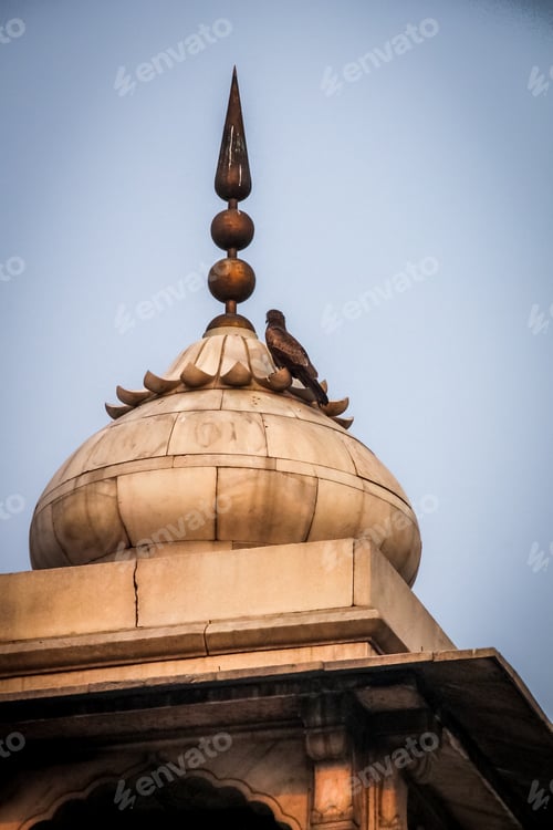 Preview: Bird on a spire of Red Fort, Delhi - India