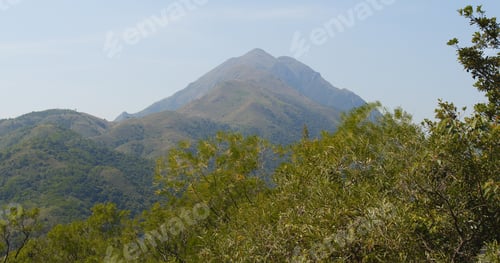 Vorschau: Silbergras auf dem Berg im Herbst