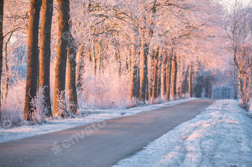 Preview: red sunrise light durinf winter morning