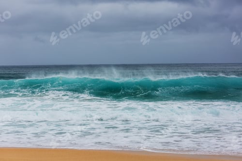 Preview: Wave