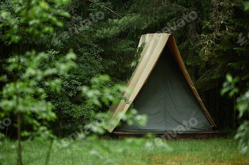 Preview: Serene Camping Tent Hidden in Lush Green Forest