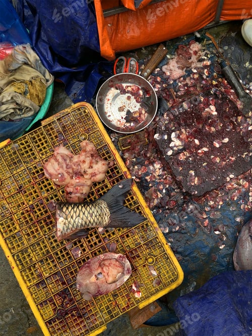 Preview: Top view on a fish fin on the fishermen working table