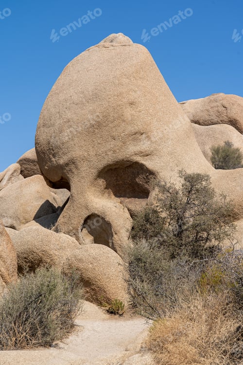 Preview: Joshua Tree National Park in California, USA