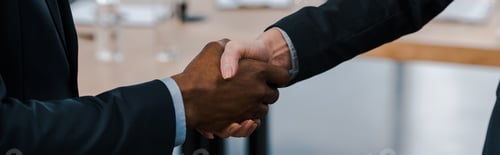 Preview: panoramic shot of businesswoman shaking hands with african american businessman