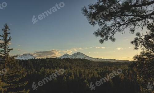 Preview: Wide shot of a forest of green pine trees near white mountains under a blue sky