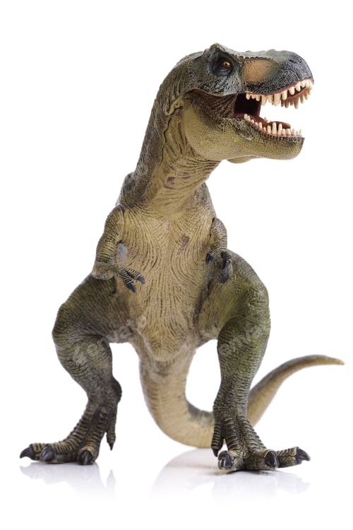 Preview: Tyrannosaurus Rex dinosaur
