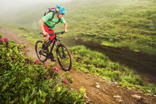 Preview: Young male mountain biker cycling next to stream
