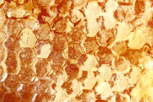 Preview: Honey In Honeycombs Fresh Crop Background Image