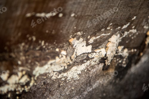 Preview: Closeup detail of the wooden texture