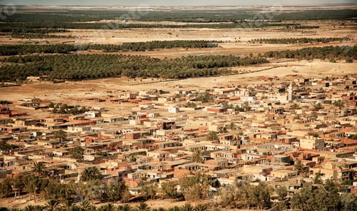 Preview: Aerial photography of sand dunes and trees in an oasis in Sahara desert