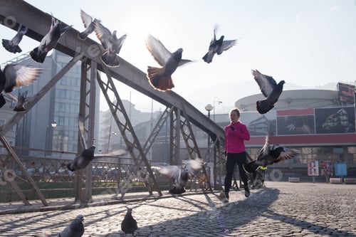 Preview: sporty woman jogging on morning