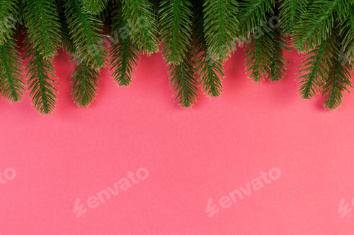 Preview: Top view of colorful background made of green fir tree branches. New year