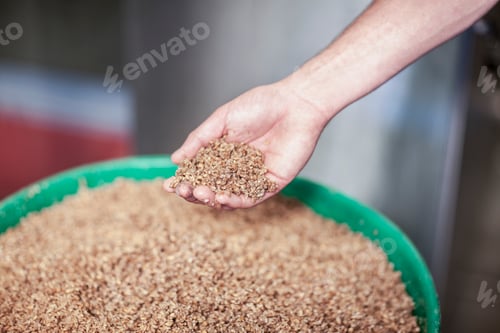 Preview: Mans hand holding grains