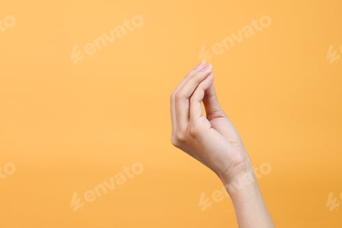 Preview: Italian Hand Gesture