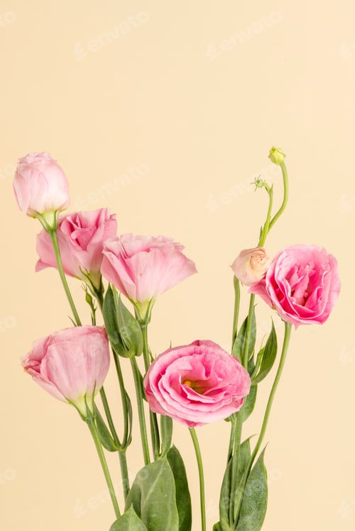 Preview: Bouquet of pink lisianthus flower