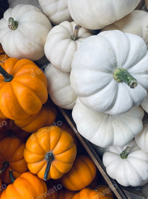 Preview: Pumpkin