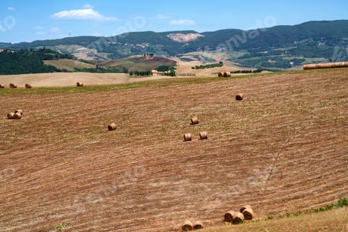 Preview: Country landscape near Volterra, Tuscany