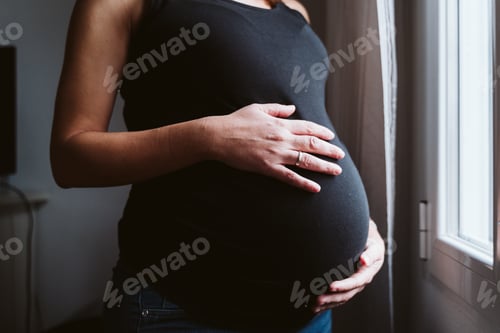 Preview: young pregnant woman at home by the window. family concept