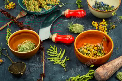 Visualização: Ervas medicinais, medicina alternativa.