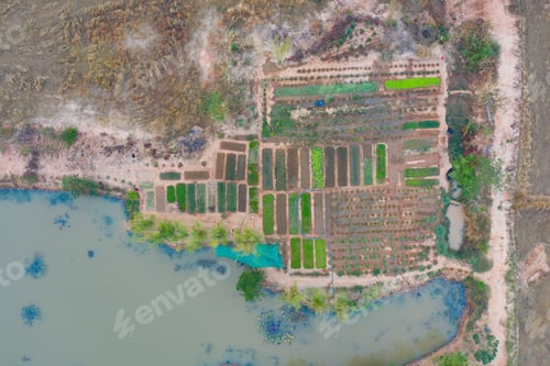 Preview: Fresh paddy rice, green agricultural field in countryside or rural area in Asia. Nature landscape.