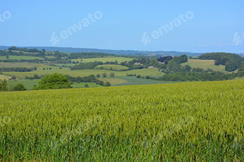 Preview: English summer landscape, green fields and rolling hills near Compton Pauncefoot, Somerset, England