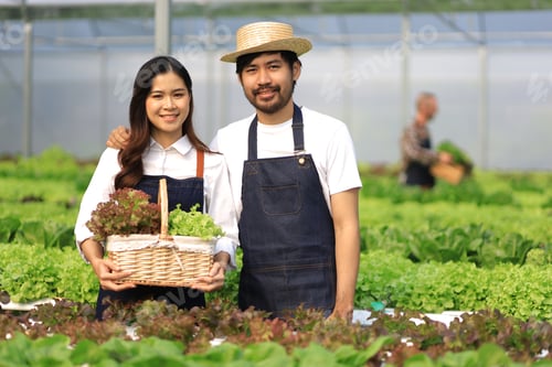 Preview: Happy couple farmers working on hydroponics farm, small family business.