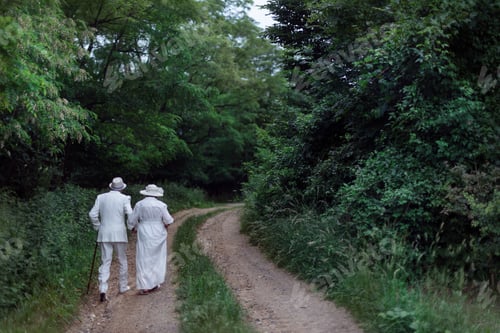 Preview: Rear view of senior couple having wedding photography in forest during summer day.