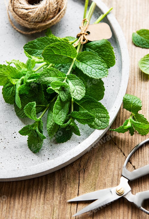 Preview: Fresh mint leaves