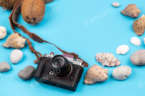 Preview: camera,coconuts and shells on a blue background.Background for the traveler