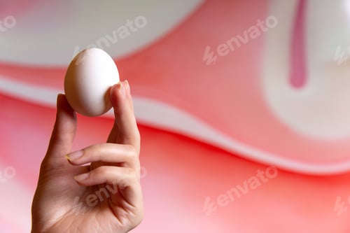 Preview: front view white whole egg hold by female on the light-pink background food raw oil egg meal boil