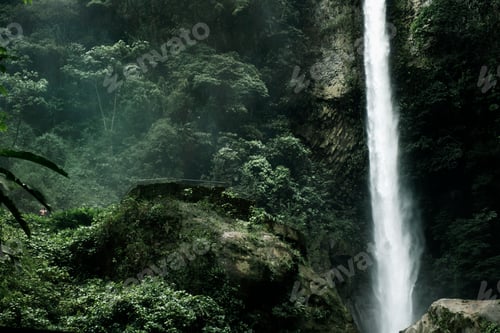 Preview: Majestic waterfall cascading in a lush green forest