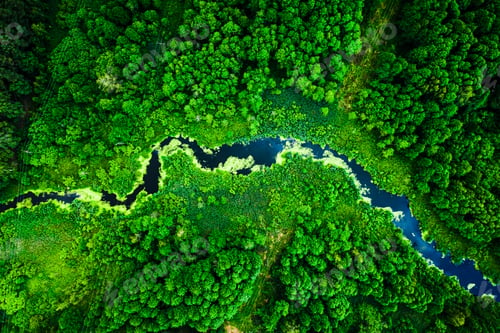 Preview: Amazing blooming algae on the river in summer, flying above