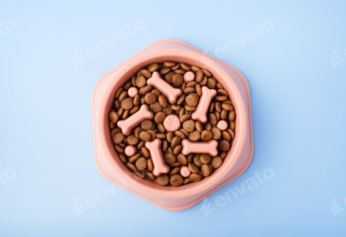 Preview: Cat and dog orange slow Feeding Bowl on blue background